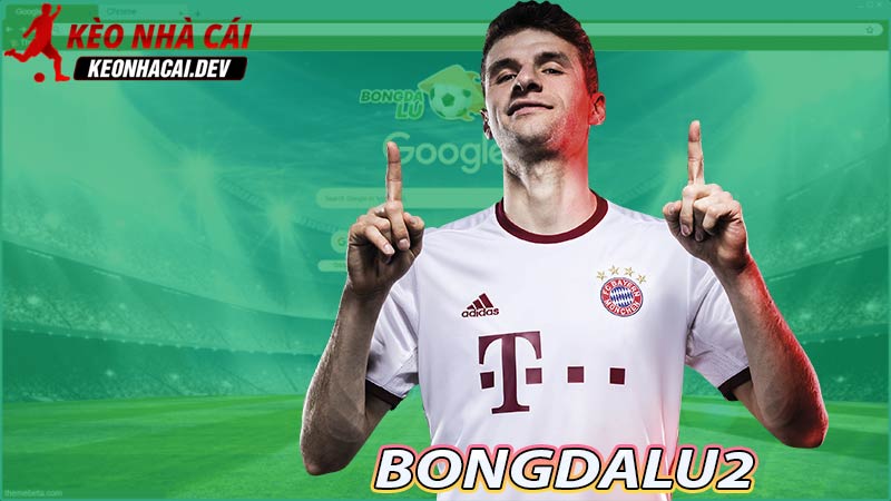Bongdalu2 trang thể thao trực tuyến